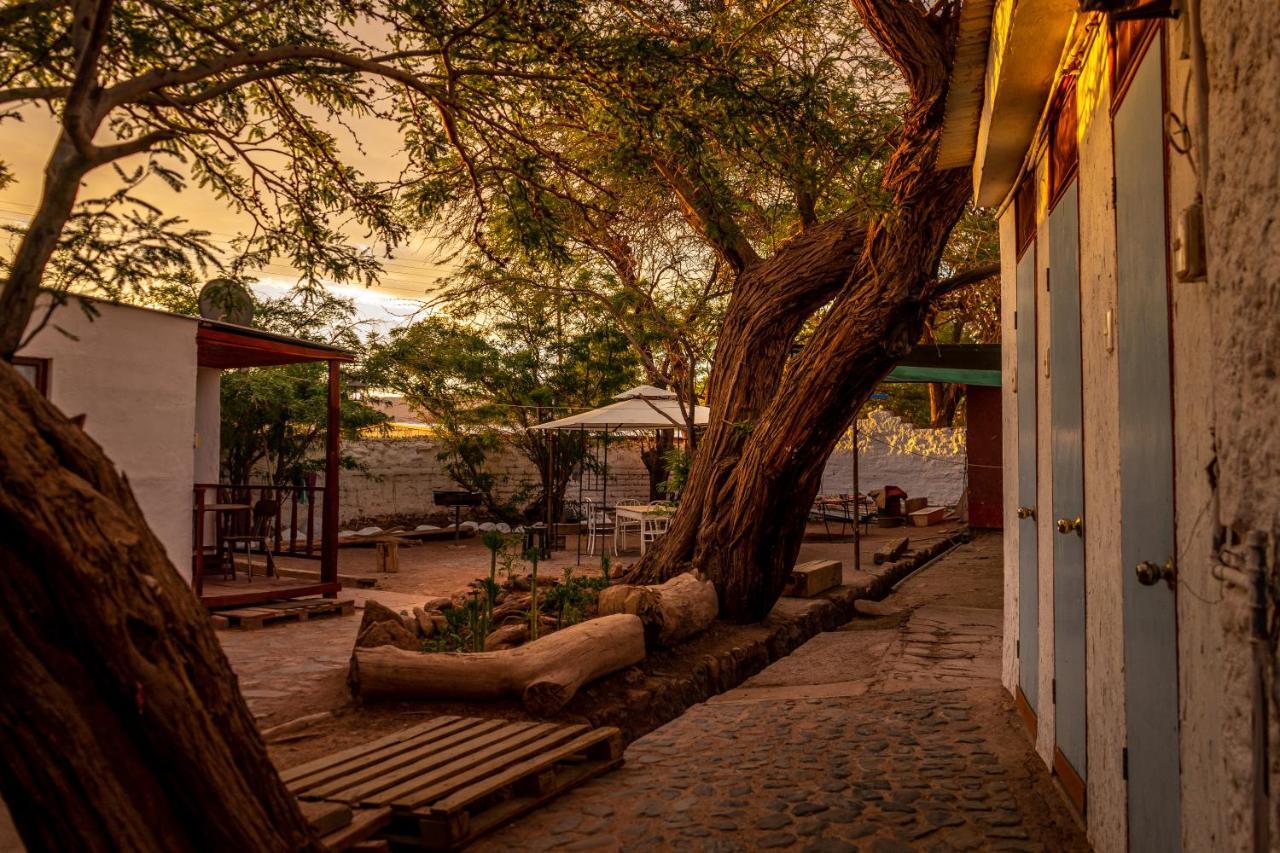La Casa Del Sol Naciente Hotel ซานเปโดร เด อาตากามา ภายนอก รูปภาพ